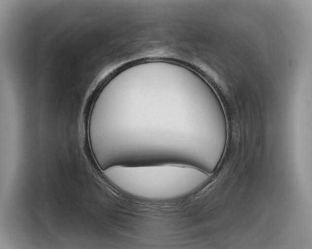 X0000116431270200912081213