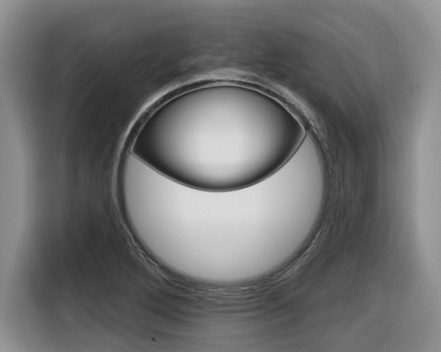 X0000116431272200912081213