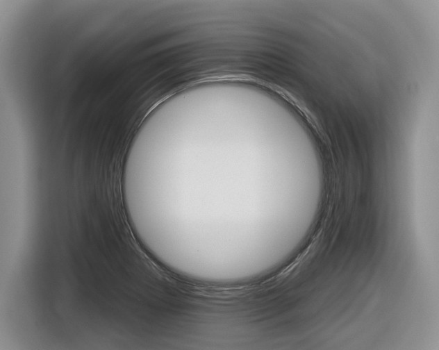 X0000116431273200912081213