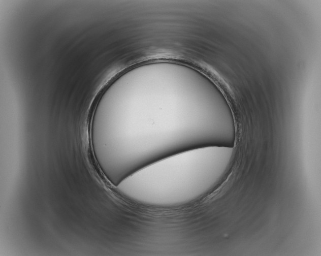 X0000116431274200912081213