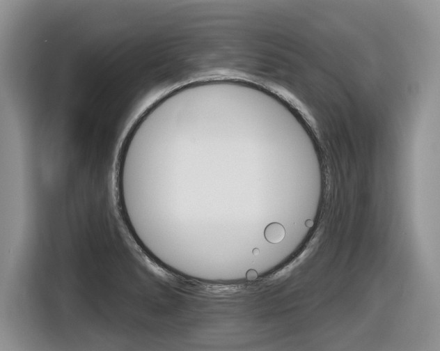 X0000116431278200912081213
