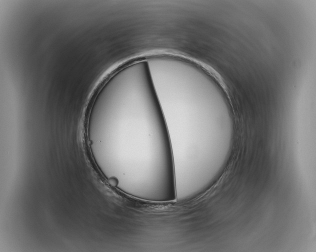 X0000116431279200912081213