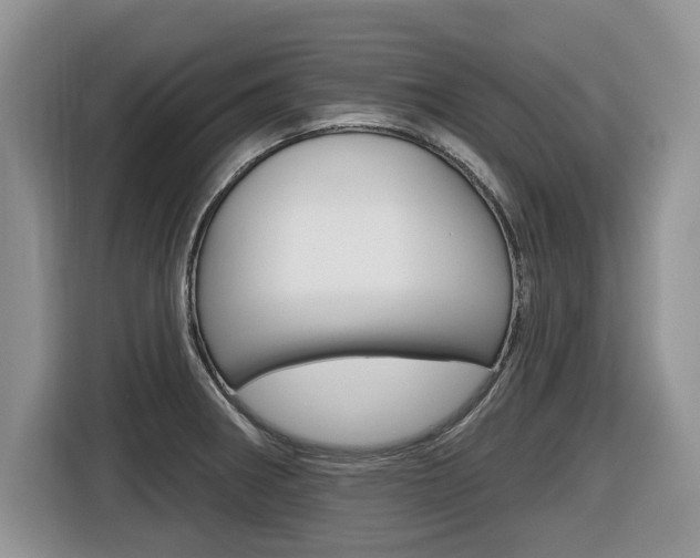 X0000116431282200912081213