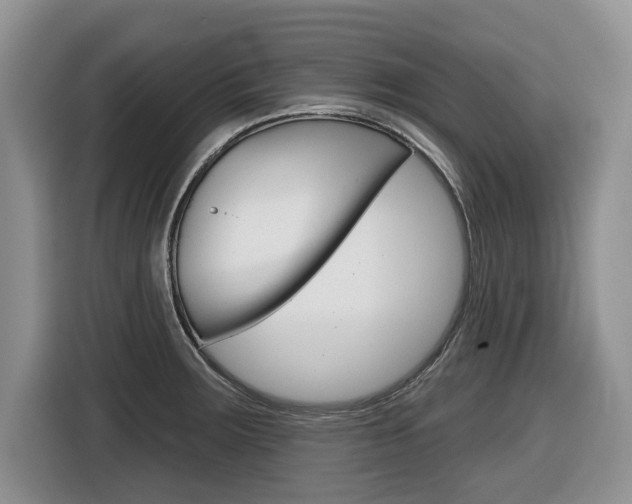 X0000116431283200912081213