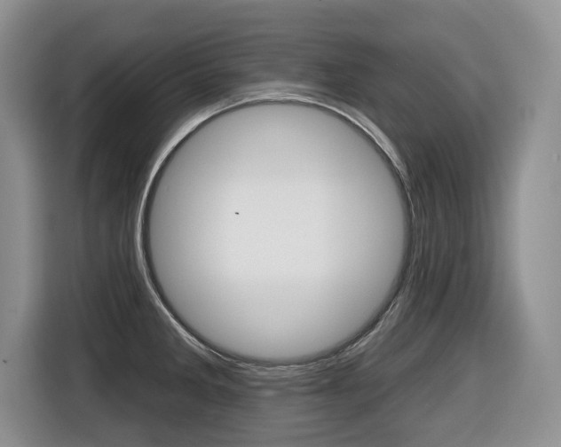 X0000116431285200912081213