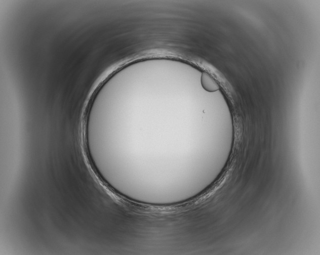 X0000116431286200912081213