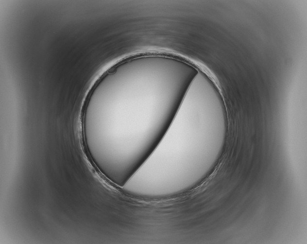 X0000116431287200912081213