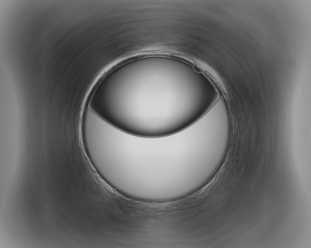 X0000116431288200912081213