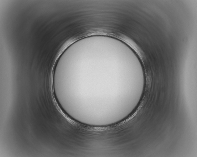 X0000116431290200912081213