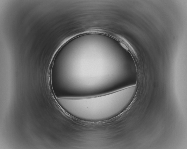 X0000116431292200912081213