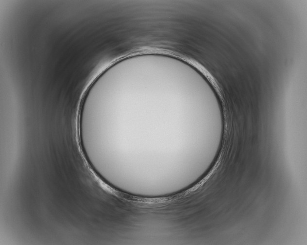 X0000116431294200912081213