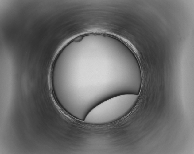 X0000116431295200912081213