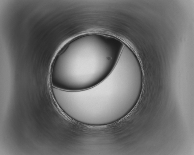 X0000116431296200912081213