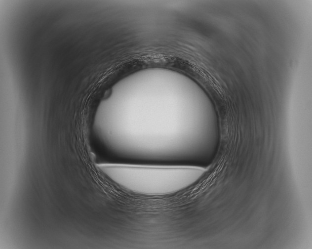 X0000116431297200912081212