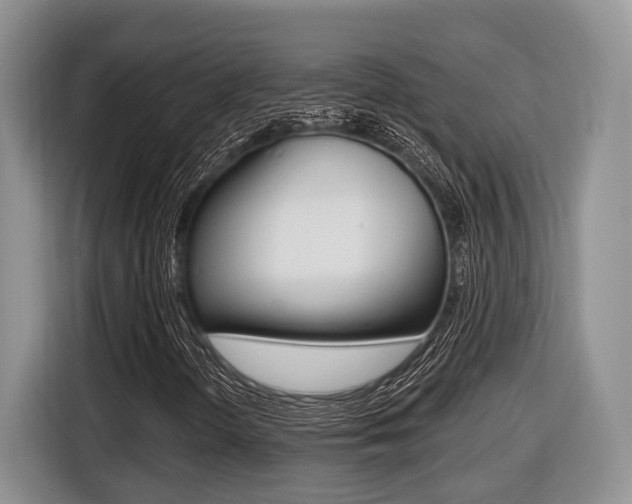 X0000116431298200912081212