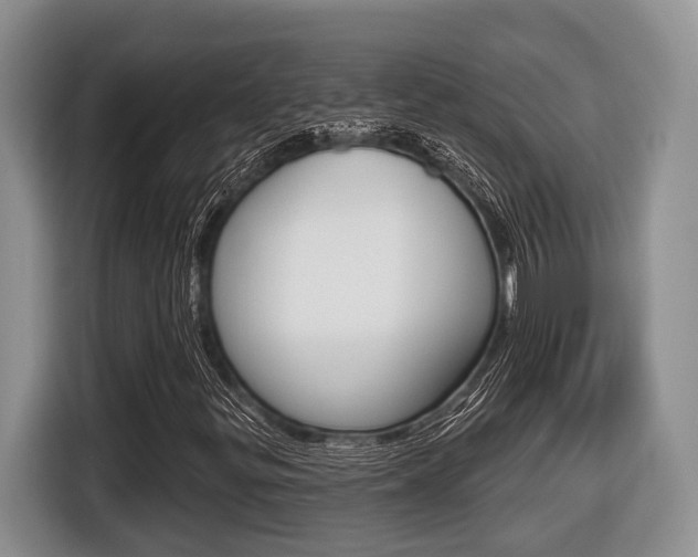 X0000116431299200912081212