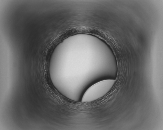 X0000116431301200912081212