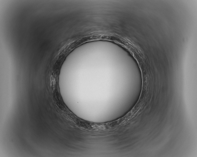 X0000116431302200912081212