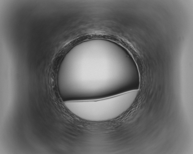 X0000116431303200912081212