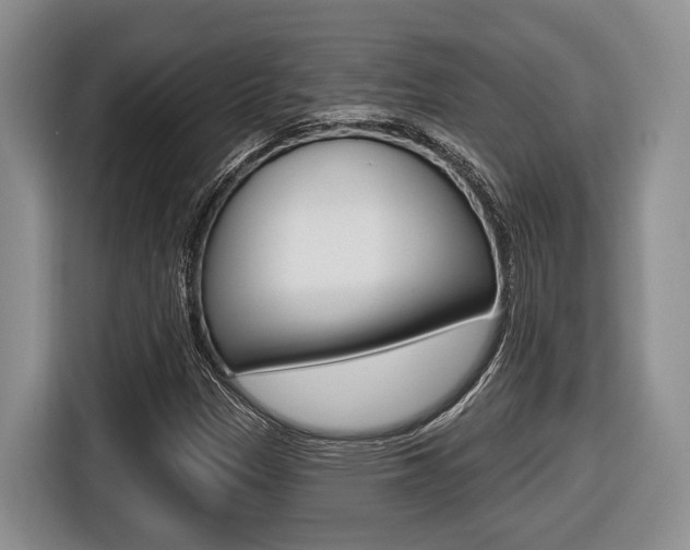 X0000116431305200912081212