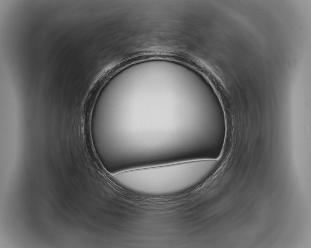 X0000116431307200912081212