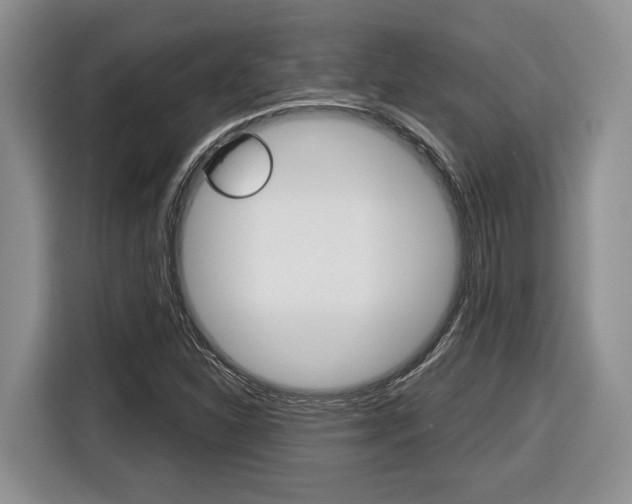 X0000116431310200912081212