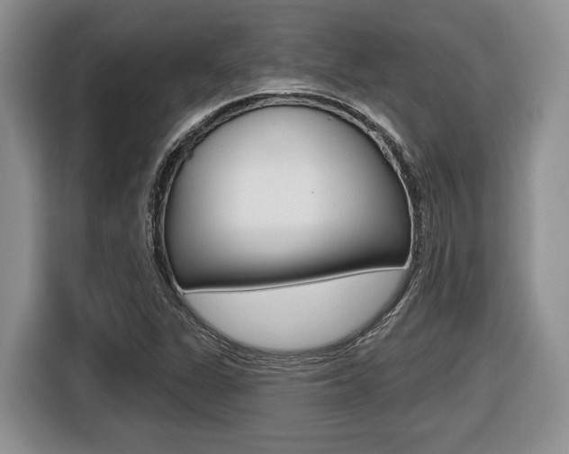 X0000116431311200912081212