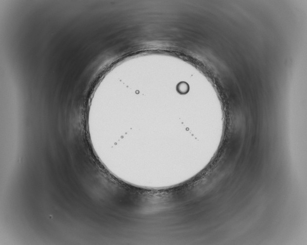 X0000116431314200912081212
