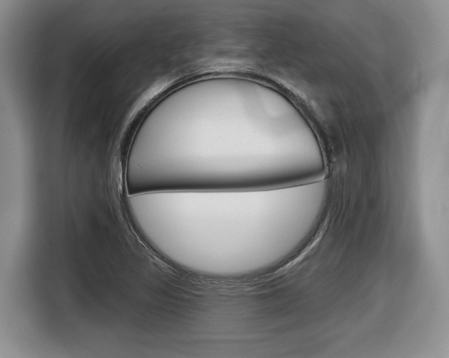 X0000116431317200912081212