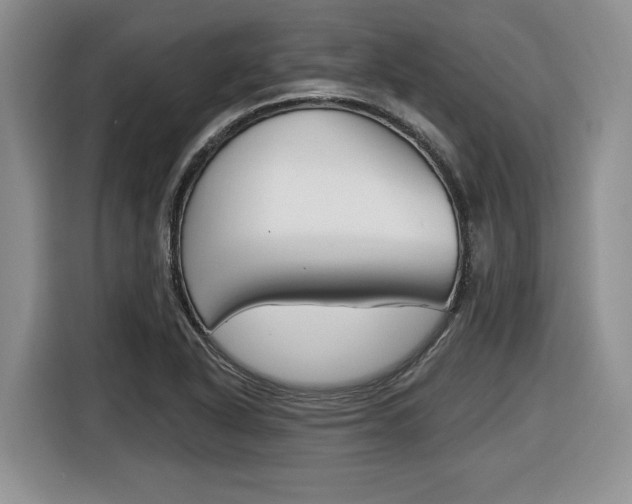 X0000116431318200912081212