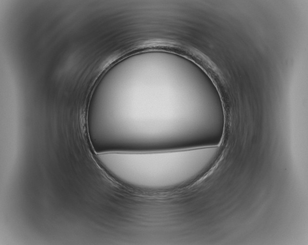 X0000116431321200912081212