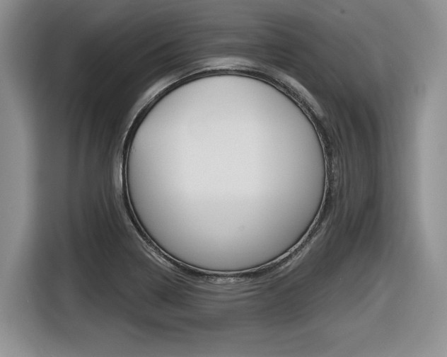 X0000116431322200912081212