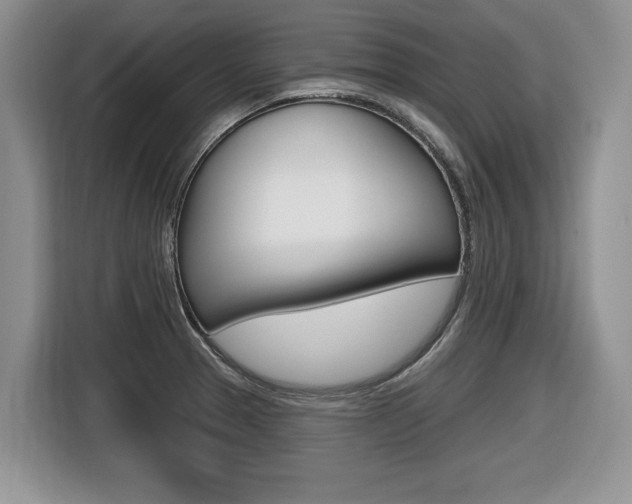 X0000116431329200912081213
