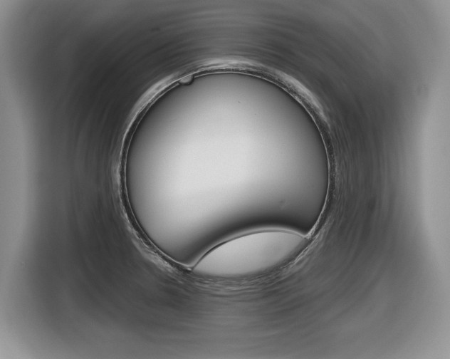 X0000116431330200912081213
