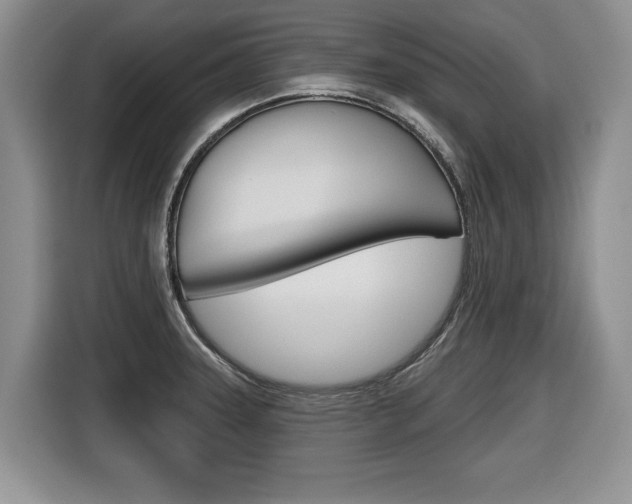 X0000116431331200912081213