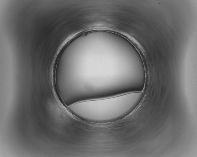 X0000116431333200912081213