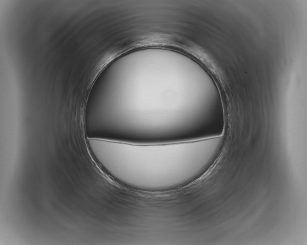 X0000116431337200912081213