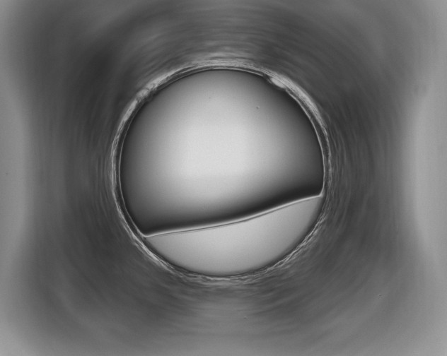 X0000116431341200912081213