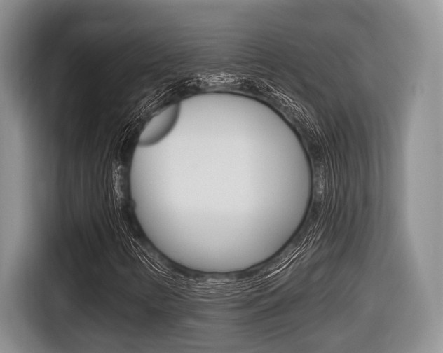X0000116431346200912081212