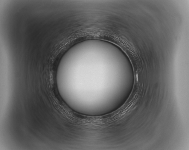 X0000116431347200912081212