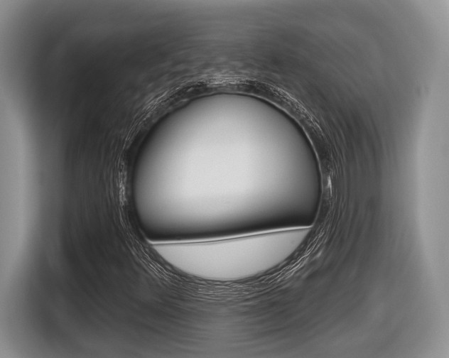X0000116431348200912081212
