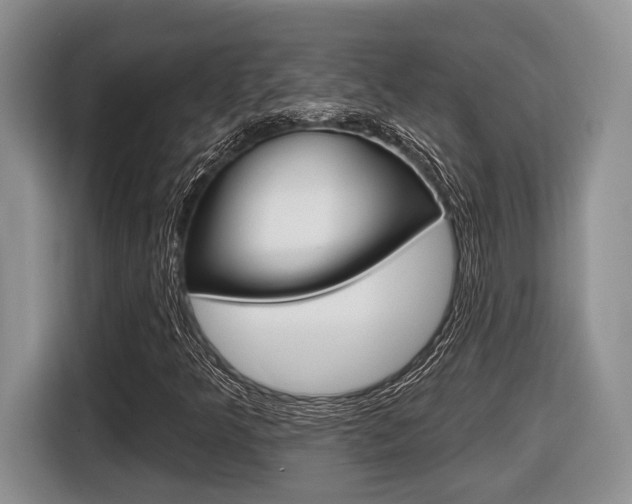 X0000116431349200912081212