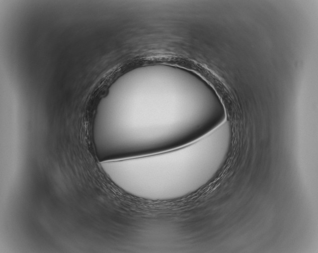 X0000116431351200912081212