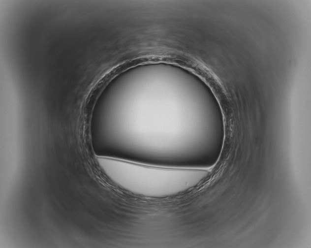 X0000116431352200912081212