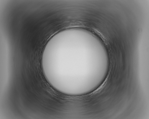 X0000116431353200912081212
