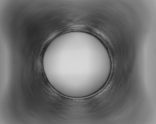 X0000116431354200912081212