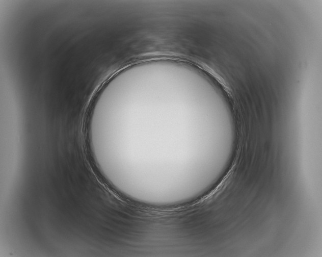 X0000116431357200912081212
