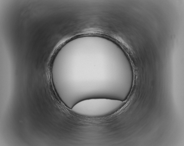 X0000116431358200912081212