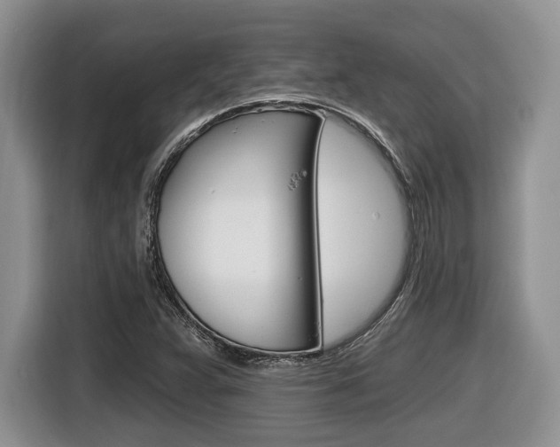 X0000116431359200912081212