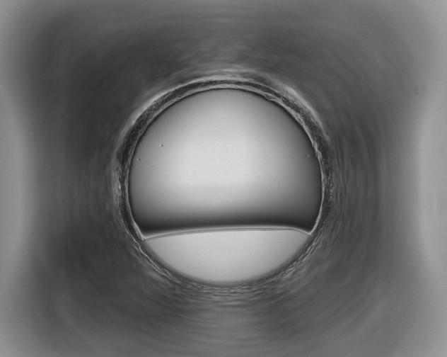 X0000116431360200912081212